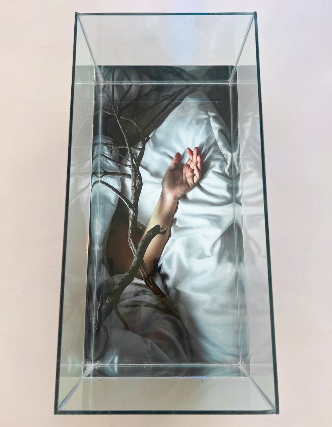 Inmovilidad Instalacion Image 1