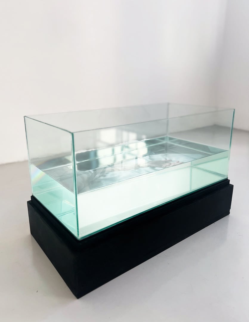 Inmovilidad Instalacion Image 3