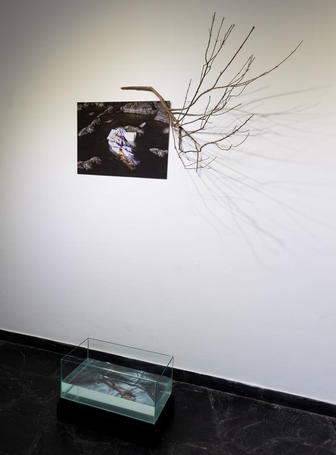 Inmovilidad Expo Image 1