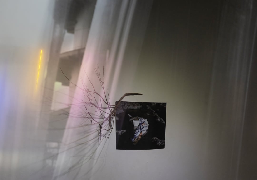 Inmovilidad Expo Image 2