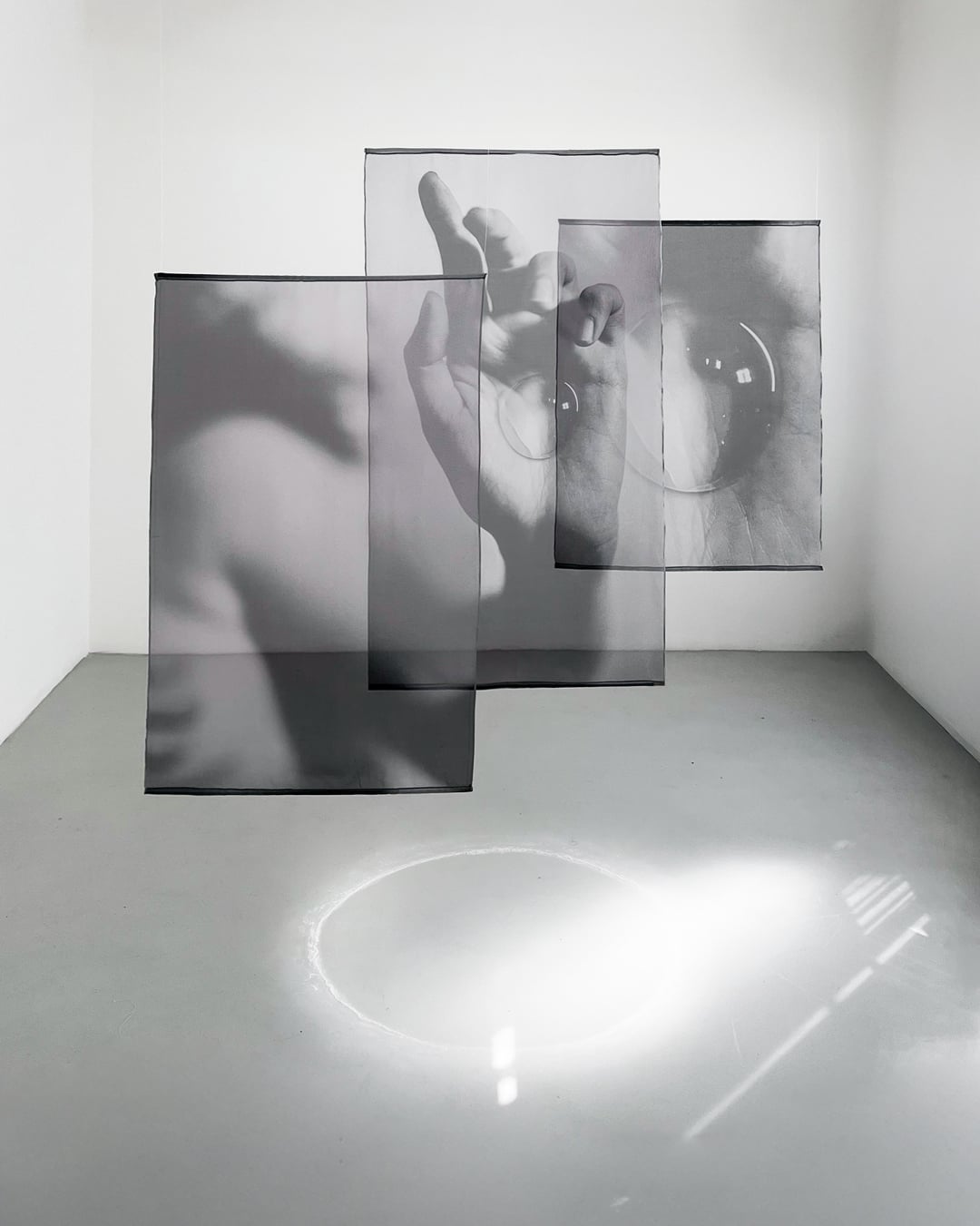 Lo que esta inmovil 1