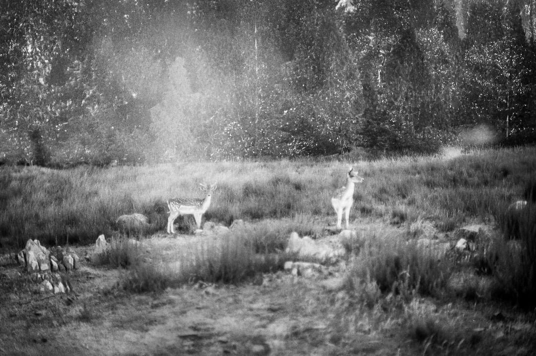 Lo que esta inmovil 10