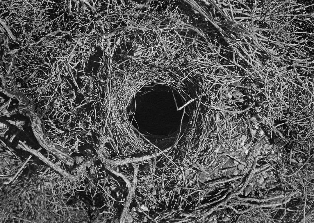 Lo que esta inmovil 11