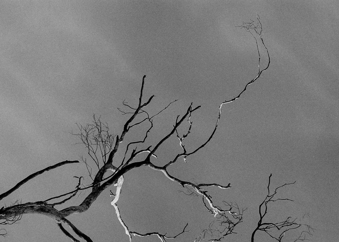 Lo que esta inmovil 12