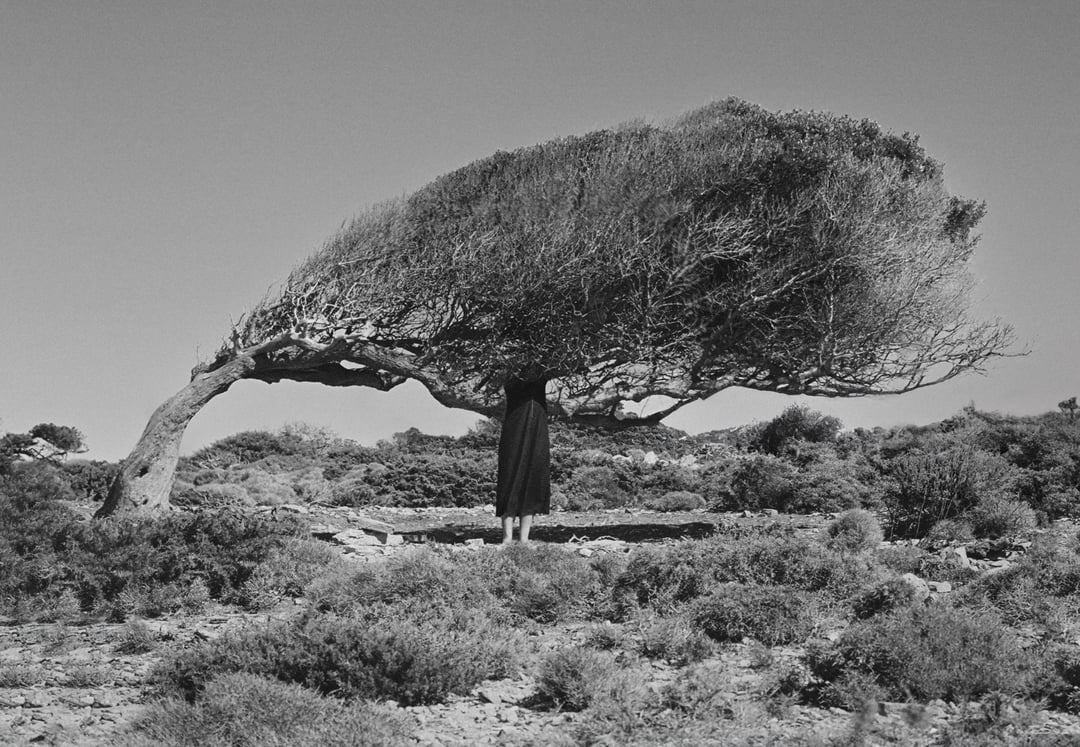 Lo que esta inmovil 16