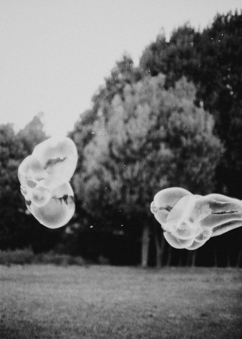 Lo que esta inmovil 17