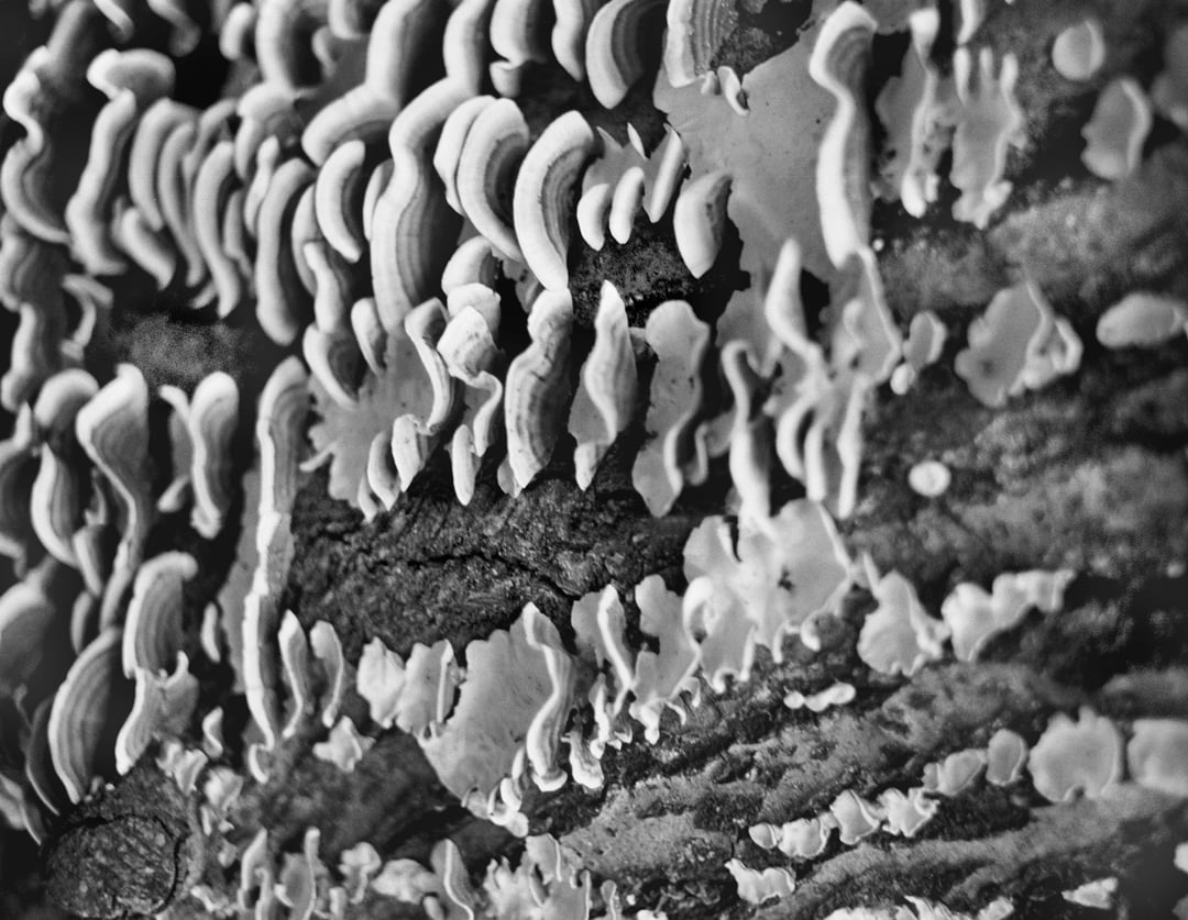 Lo que esta inmovil 19