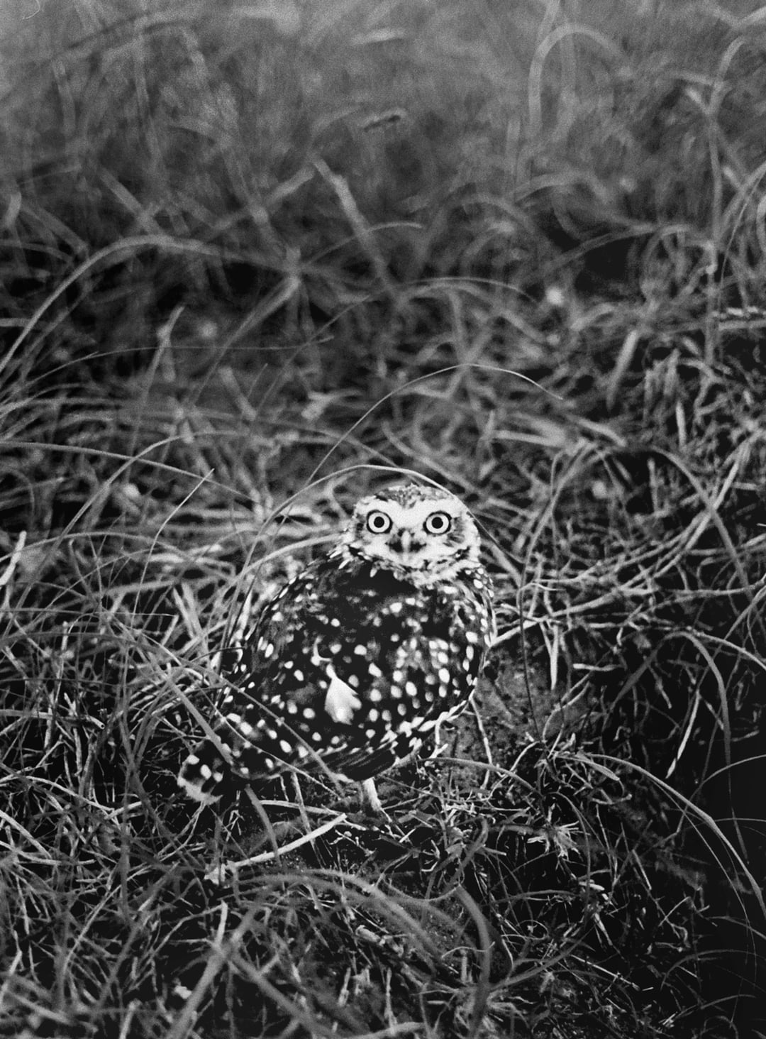 Lo que esta inmovil 20