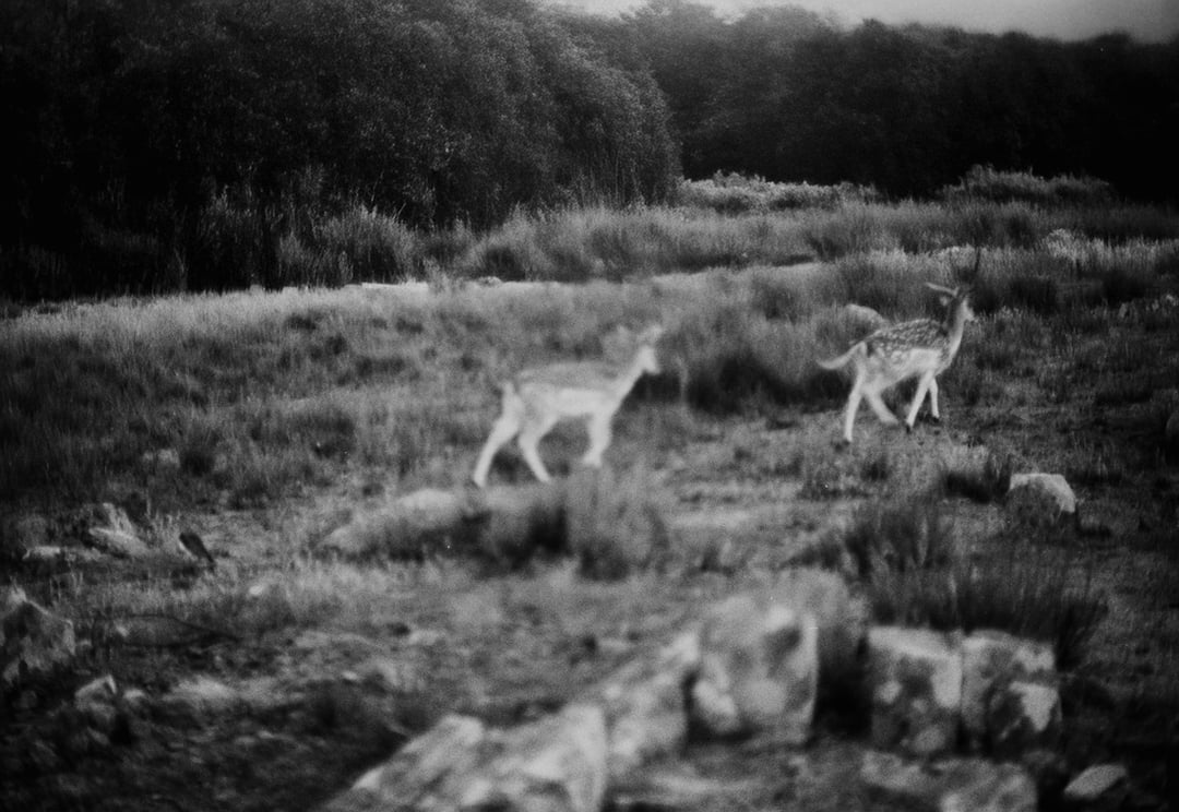 Lo que esta inmovil 21