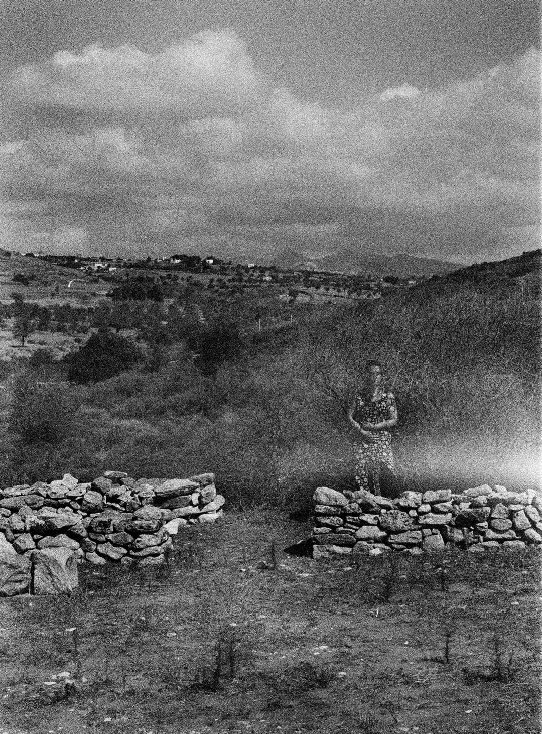 Lo que esta inmovil 5