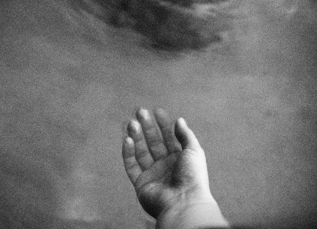 Lo que esta inmovil 6