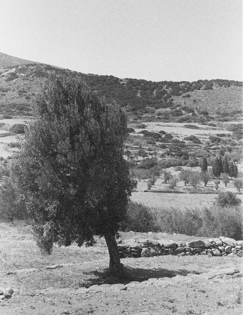 Lo que esta inmovil 7